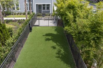 Fenced pet park 